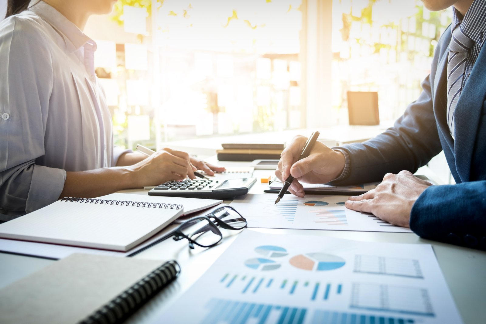 Professional tax preparation services